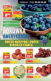 Biedronka gazetka tydzień 22 Strona 25