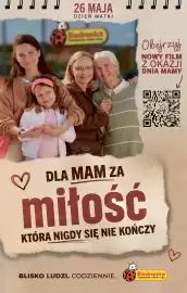 Biedronka gazetka tydzień 22 Strona 83