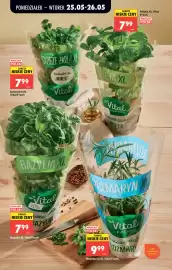 Biedronka gazetka tydzień 22 Strona 90