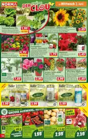 Norma Prospekt woche 23 Seite 14