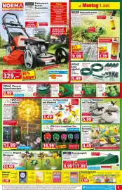 Norma Prospekt woche 23 Seite 3