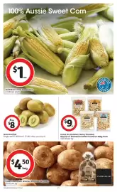 Coles catalogue week 22 Page 21