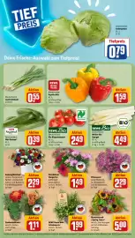 REWE City Prospekt woche 22 Seite 5