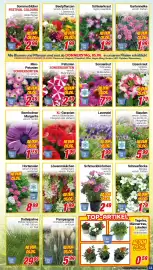 CENTERSHOP Prospekt woche 23 Seite 11