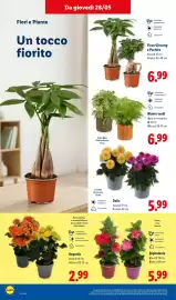 Volantino Lidl settimana 22 Pagina 34