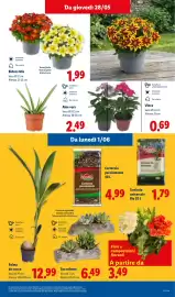 Volantino Lidl settimana 22 Pagina 35