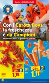 Volantino Lidl settimana 22 Pagina 4
