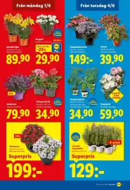 Lidl reklamblad vecka 23 Sida 20