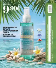 Catalogo Cristian Lay Pagina 88