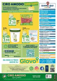 Volantino Ciro Amodio Pagina 12