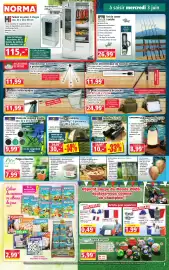 Catalogue Norma semaine 23 page 3