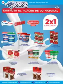Catálogo Supermayorista Vital semana 22 Página 5