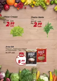 Tabloide Dia Página 2
