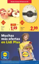 Catálogo Lidl semana 23 Página 3