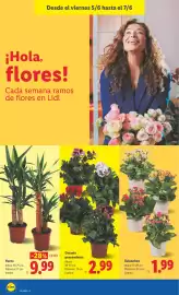 Catálogo Lidl semana 23 Página 42