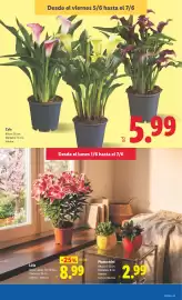 Catálogo Lidl semana 23 Página 43