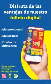 Catálogo Lidl semana 23 Página 45