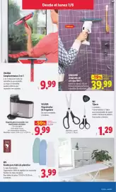 Catálogo Lidl | Bazar Página 13