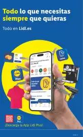 Catálogo Lidl | Bazar Página 3