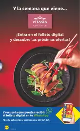 Catálogo Lidl | Bazar Página 34
