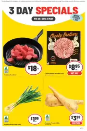 IGA catalogue Page 1
