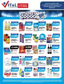 Catálogo Supermayorista Vital semana 22 Página 1
