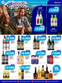 Catálogo Supermayorista Vital semana 22 Página 17