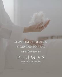 Catálogo Plumas Página 12