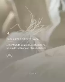 Catálogo Plumas Página 10