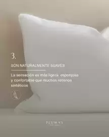 Catálogo Plumas Página 4