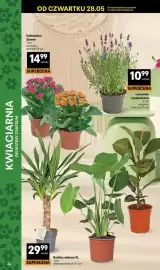 Delikatesy Centrum gazetka Strona 46