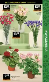 Delikatesy Centrum gazetka Strona 47