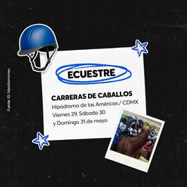 Catálogo Ticketmaster semana 22 Página 4