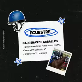 Catálogo Ticketmaster semana 22 Página 4
