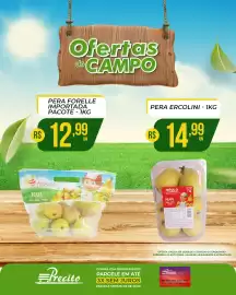 Catálogo Supermercado Precito Página 13