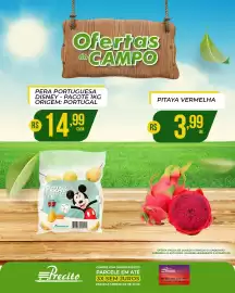 Catálogo Supermercado Precito Página 15