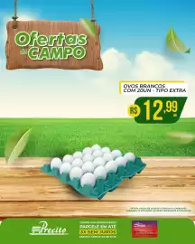 Catálogo Supermercado Precito Página 45