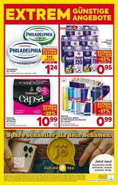 Billa Flugblatt woche 22 Seite 16