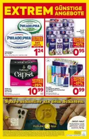 Billa Flugblatt woche 22 Seite 16