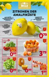 Billa Flugblatt woche 22 Seite 5