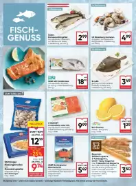 Maximarkt Flugblatt woche 22 Seite 6