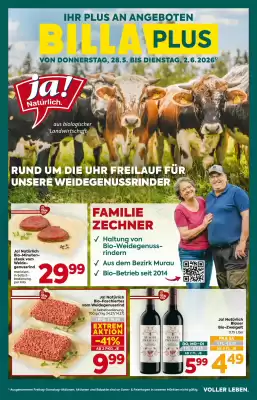 Billa Flugblatt (gültig bis 2-06)
