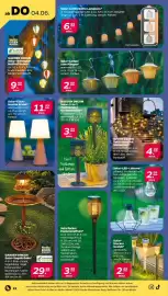 NETTO Prospekt woche 23 Seite 24