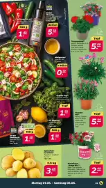 NETTO Prospekt woche 23 Seite 3