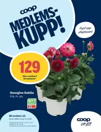 Matkroken kundeavis Side 11