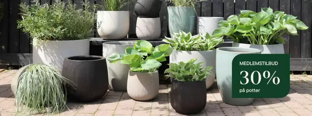 Plantasjen kundeavis (gyldig til 1-06)
