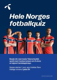 Telenor kundeavis Side 8