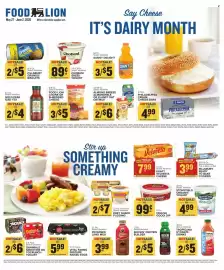 Food Lion weekly ad week 22 Page 9