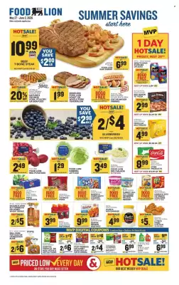 Food Lion (valid until 2-06)