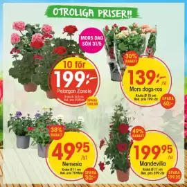 EKO reklamblad vecka 22 Sida 1